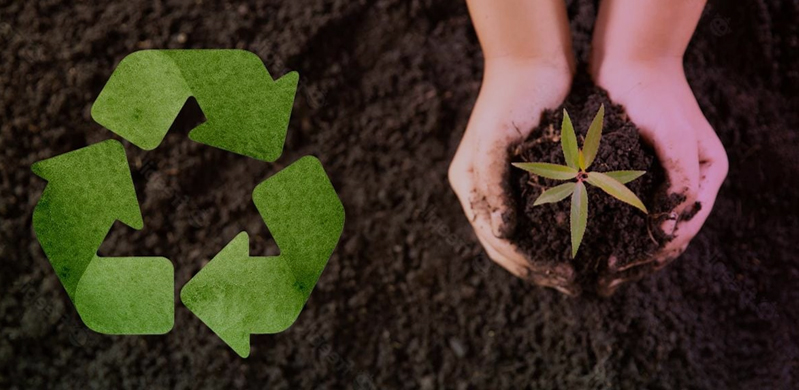 Zhejiang Detong Transformer Co., Ltd.